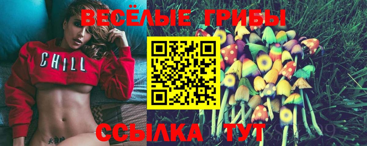 Псилоцибиновые грибы Cubensis Сосновоборск
